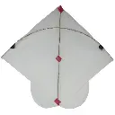 Paper Kite Small Size