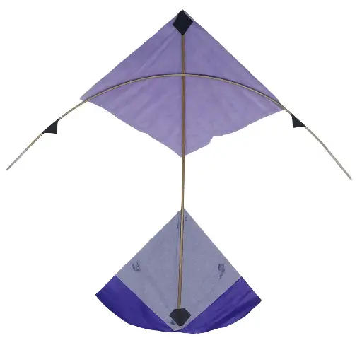 Paper Kite Medium Size